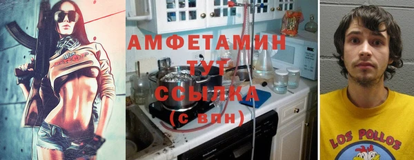 a pvp Каменногорск