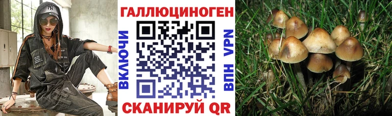 Купить  Долинск  Псилоцибиновые грибы Cubensis 